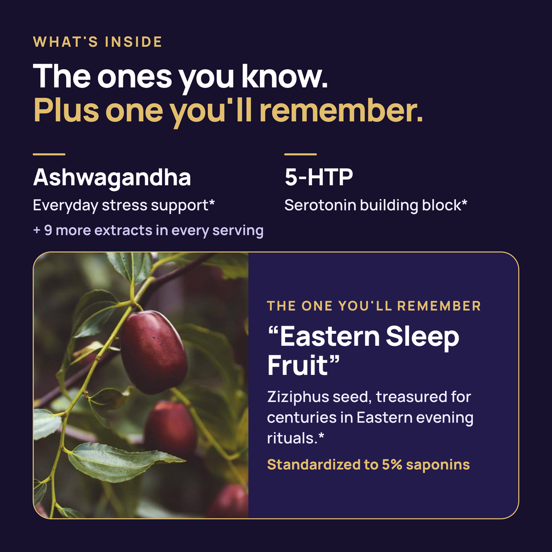 Speed Sleep® – Melatonin-Free Relaxation &amp; Sleep Support